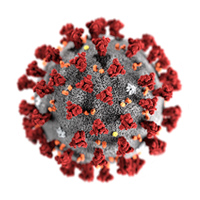 virus cell